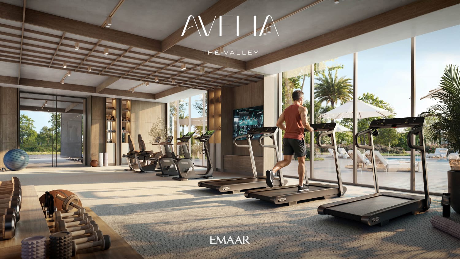 Avelia at The Valley